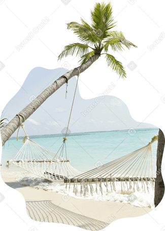 background with beach, palm tree and hammock PNG, SVG