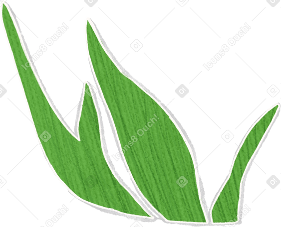 green stretched leaves Illustration in PNG, SVG