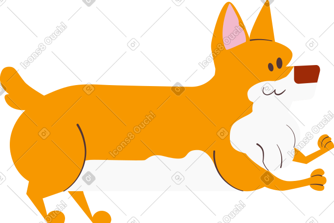 柯基犬 PNG, SVG