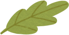 green leaf PNG、SVG