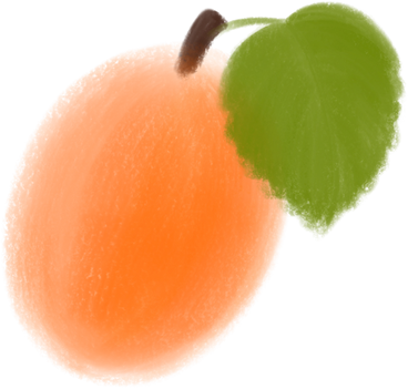 Apricot PNG、SVG