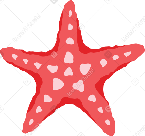 red sea star PNG, SVG