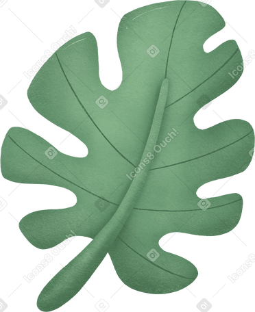 palm leaf Illustration in PNG, SVG
