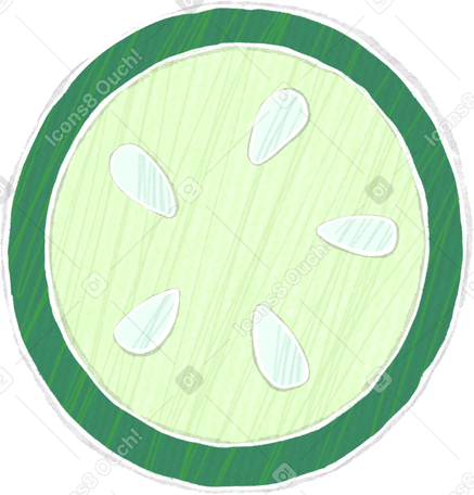slice of zucchini PNG、SVG