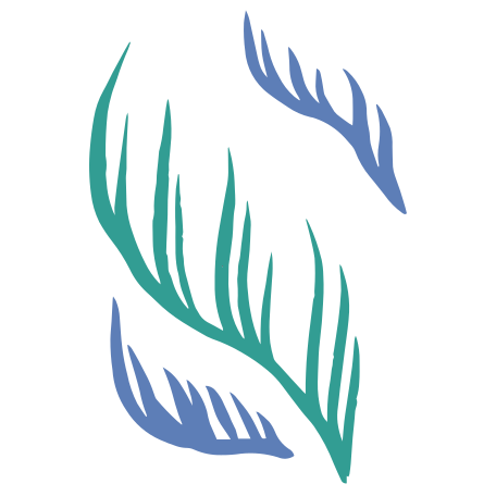 three algae Illustration in PNG, SVG