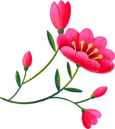 붉은 꽃 PNG, SVG