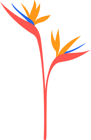 Flowers PNG, SVG