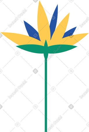 花 PNG, SVG