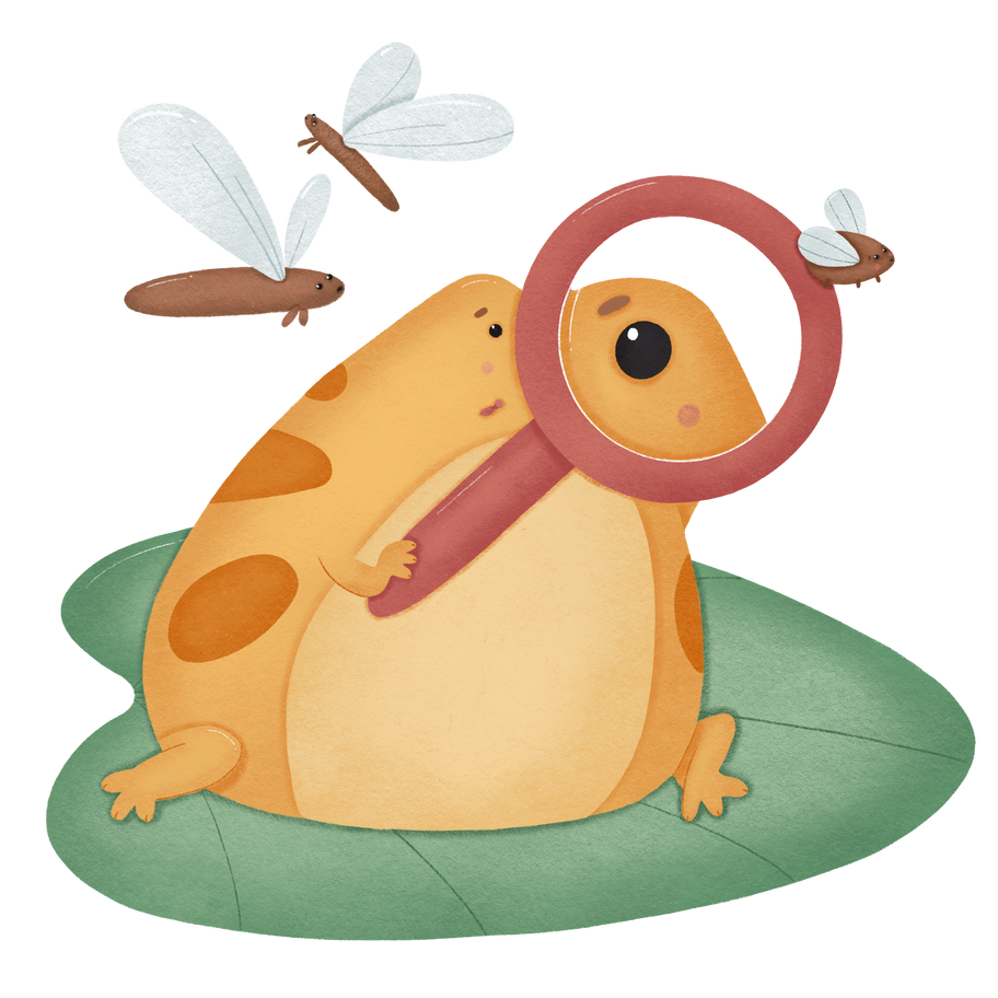 Frog Illustration in PNG, SVG