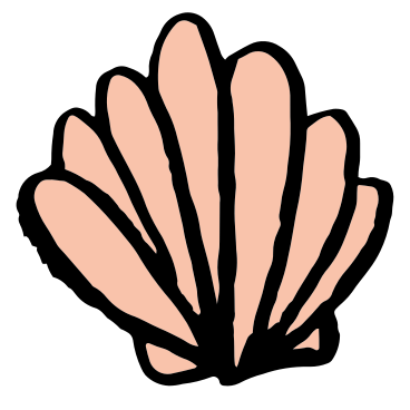 shell PNG, SVG