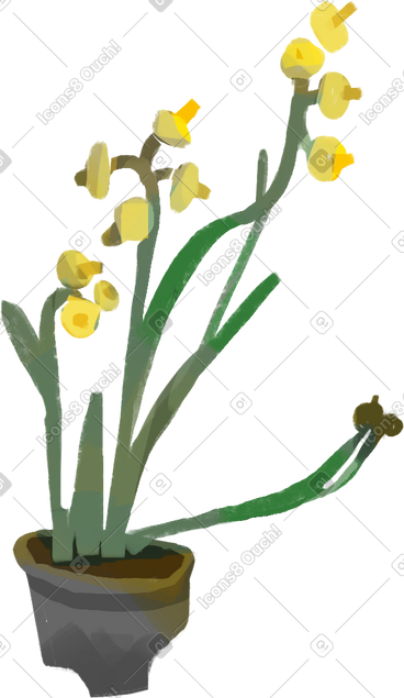 Flower PNG, SVG