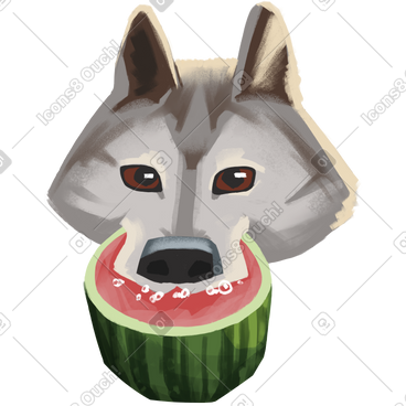 Wolf eating watermelon PNG, SVG