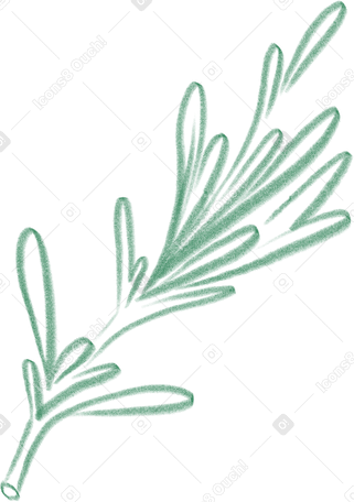 olive branch в PNG, SVG