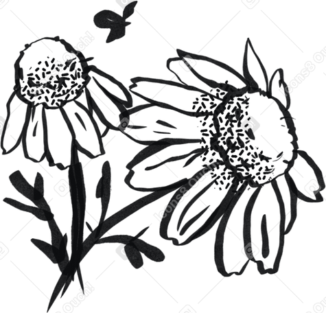 Чернильно-черная минималистская ромашка в PNG, SVG