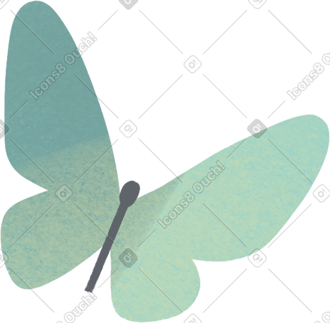 turquoise butterfly PNG, SVG