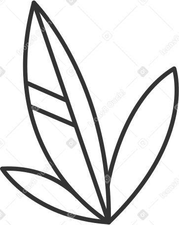three white leaves with black outline Illustration in PNG, SVG