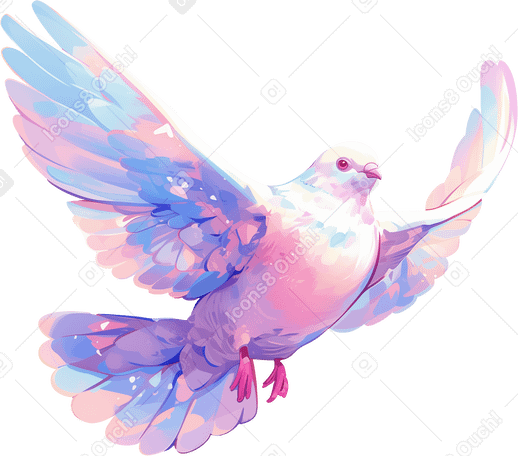 dove PNG, SVG