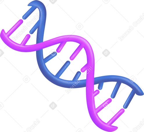 dna molecule PNG、SVG