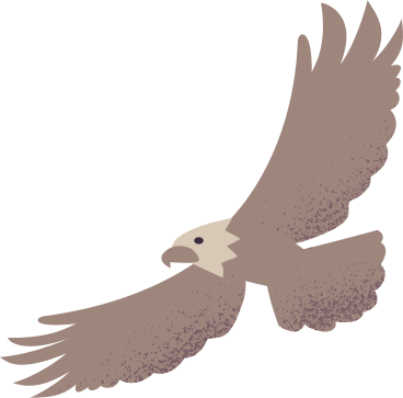 독수리 PNG, SVG
