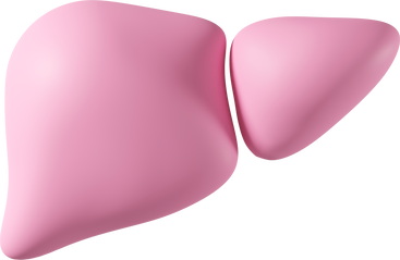 Pink liver PNG, SVG