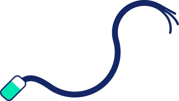 Wire PNG, SVG