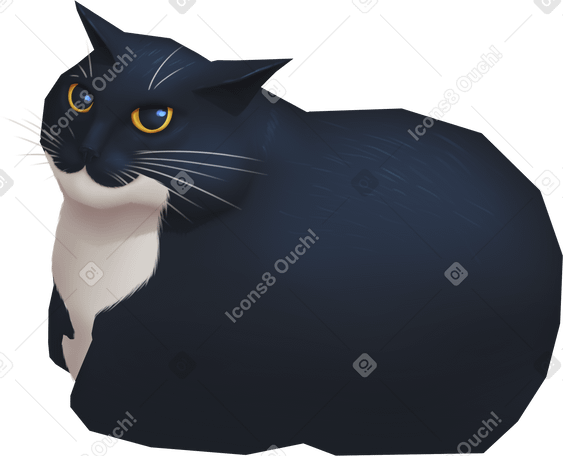 meme cat в PNG, SVG