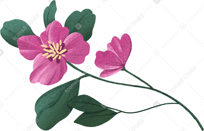 branch with burgundy flowers and green leaves в PNG, SVG