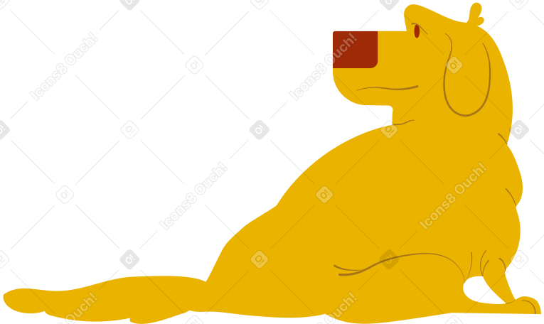 拉布拉多犬 PNG, SVG
