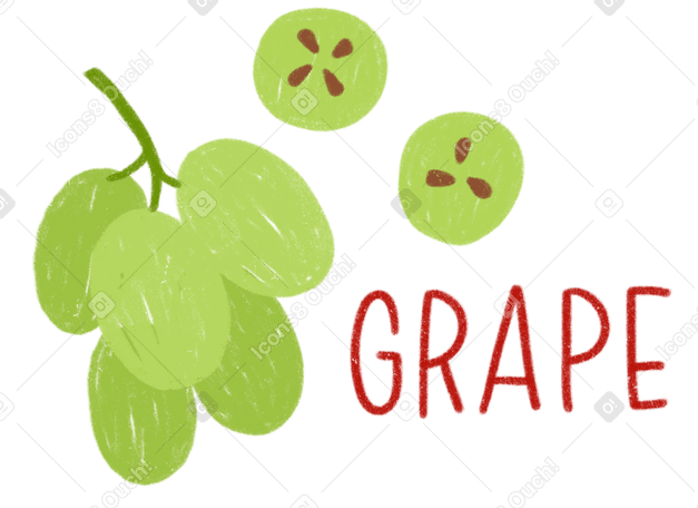 Bacche d'uva verdi, prodotti freschi e scritte PNG, SVG