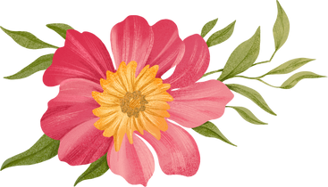 flower with a yellow center and small leaves PNG, SVG
