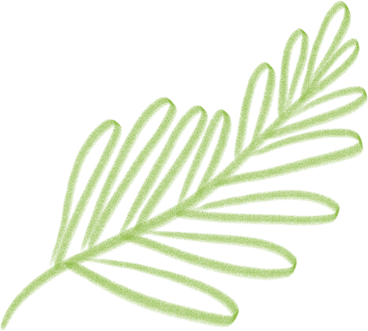 fern leaf PNG, SVG