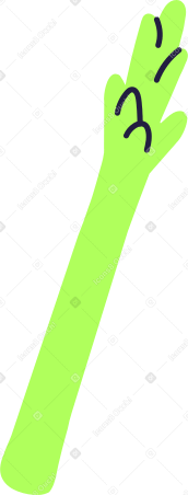 asparagus Illustration in PNG, SVG