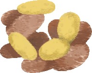 Illustration cookies aux formats PNG, SVG