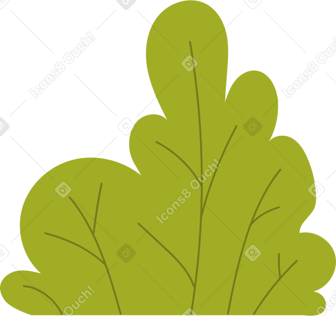 shrub Illustration in PNG, SVG