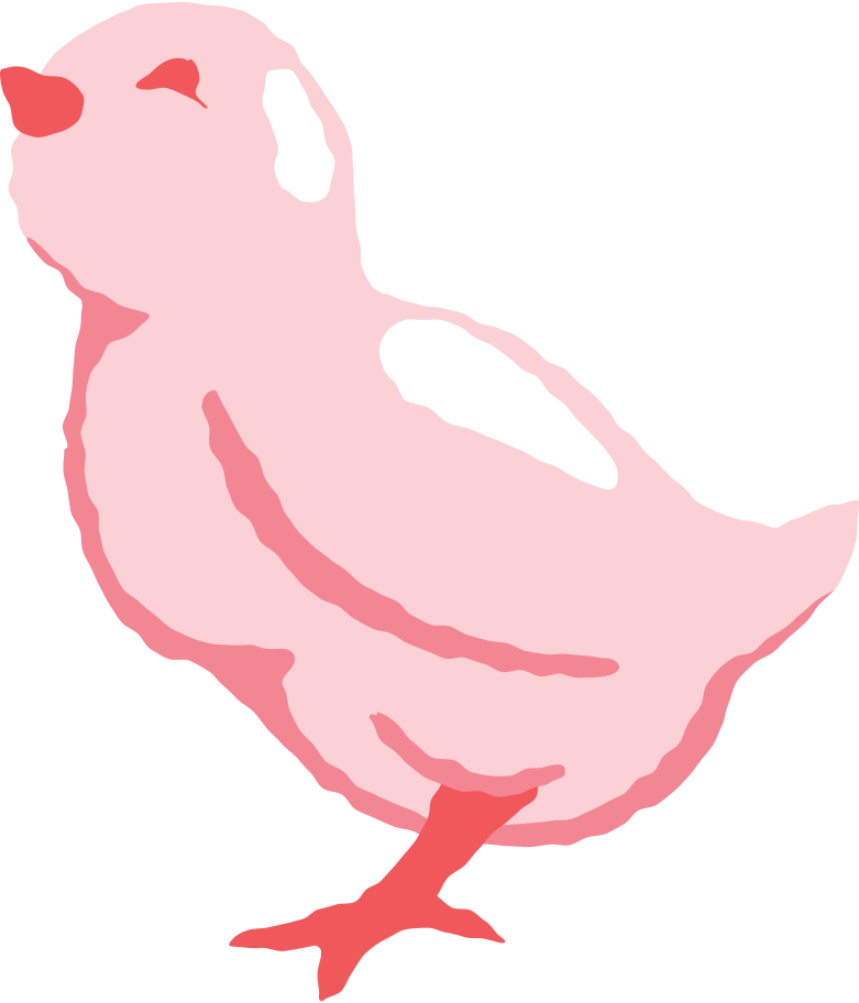 small chicken Illustration in PNG, SVG