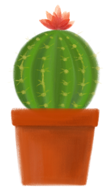 Cactus in vaso PNG, SVG