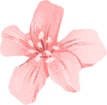 small pink flower with petals PNG, SVG