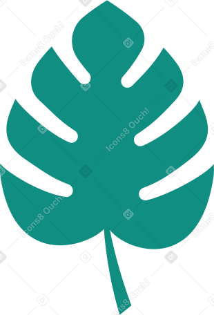 tropical leaf Illustration in PNG, SVG