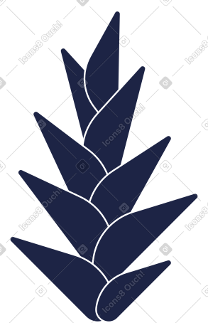 热带花 PNG, SVG