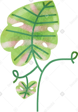 plants Illustration in PNG, SVG