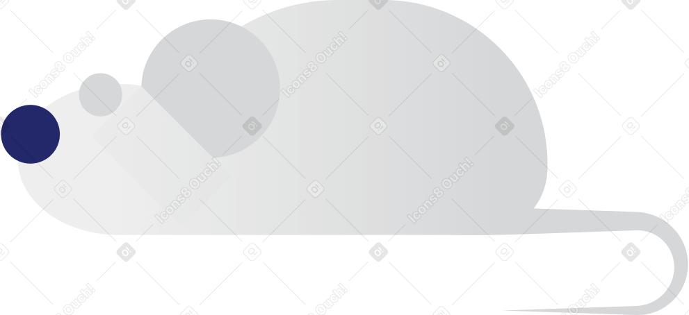 hamster PNG, SVG