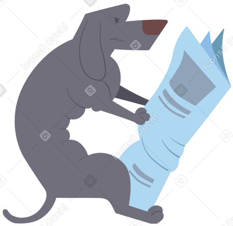 dachshund gray with newspaper Illustration in PNG, SVG