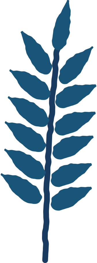 Rowan leaf Illustration in PNG, SVG