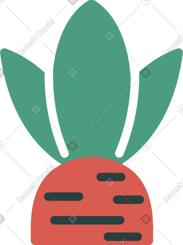 Carrot PNG, SVG