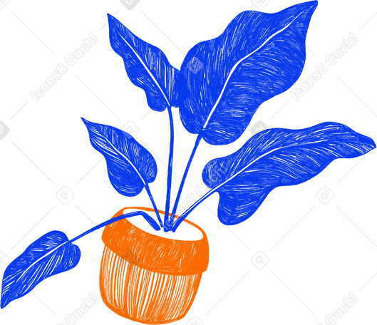 orange potted houseplant Illustration in PNG, SVG
