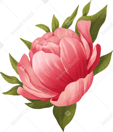large dark pink peony surrounded by green leaves PNG, SVG