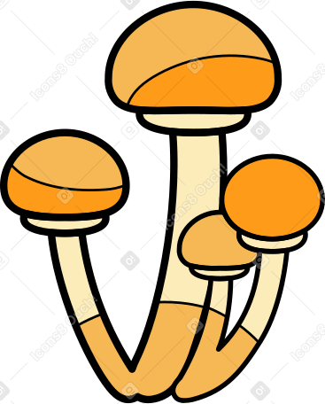 mushrooms PNG, SVG