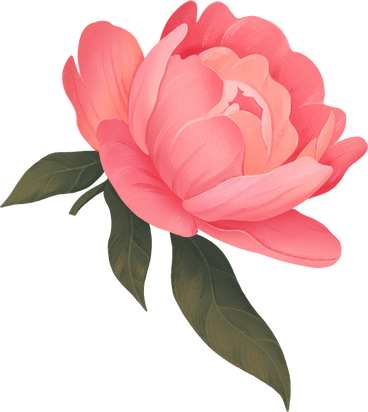 large open pink peony among the leaves PNG, SVG