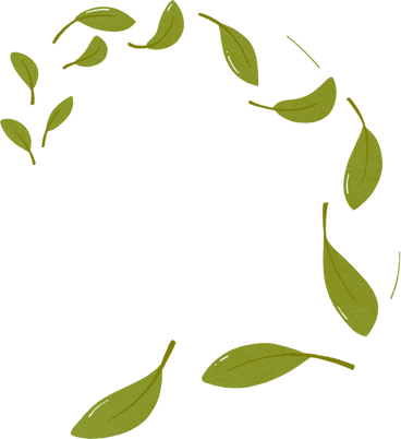 spinning green leaves PNG, SVG