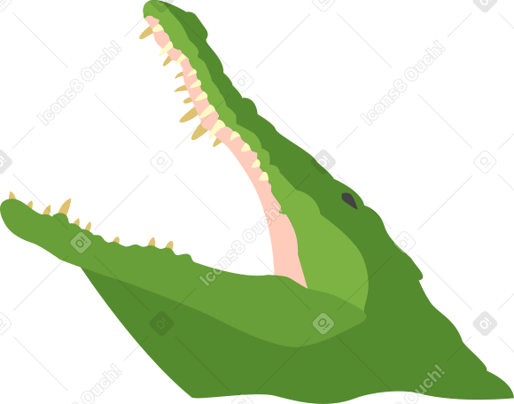 alligatore PNG, SVG